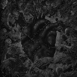 HORNA / PURE - Split Album (CD)